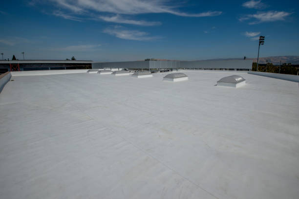 Best Roof Ventilation Installation  in Evergreen, CO