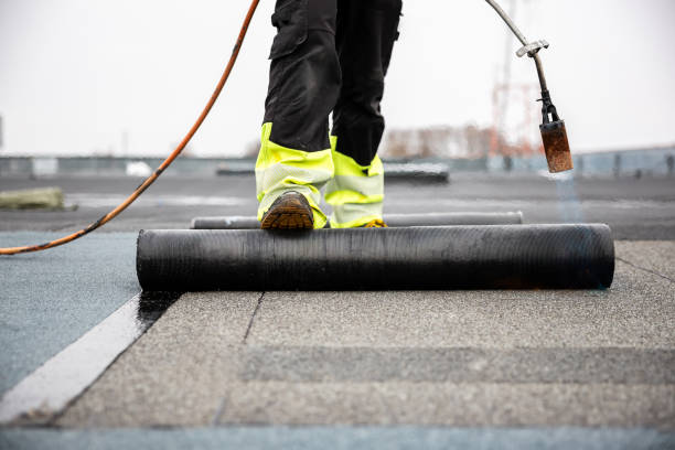 Best Roof Coating and Sealing  in Evergreen, CO