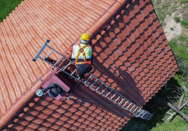 Best Roof Maintenance and Cleaning  in Evergreen, CO